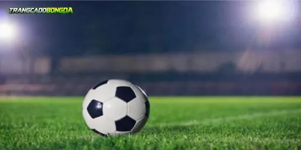 Trang Cá Độ Bóng Đá cung cấp Lịch Thi Đấu Bóng Đá free