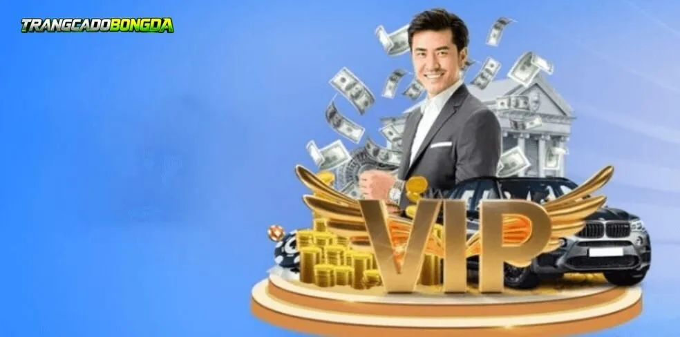 Quy trình thực hiện đúng Miễn Trừ Trách Nhiệm