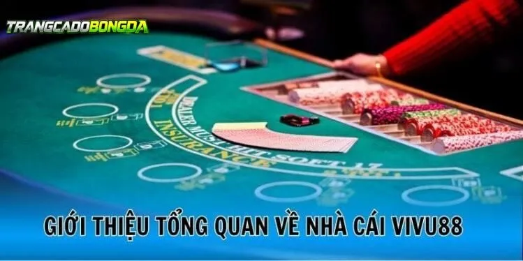 Người mới muốn làm quen với giao diện cá cược bóng đá.