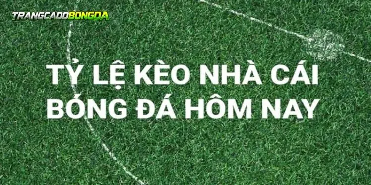 Cách tính tỷ lệ kèo nhà cái